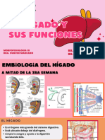 Presentación Virus Papiloma Humano Ilustrado Rosa Rojo - 20240206 - 105205 - 0000