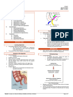 (Surg2-Trans) 4.01 Appendix