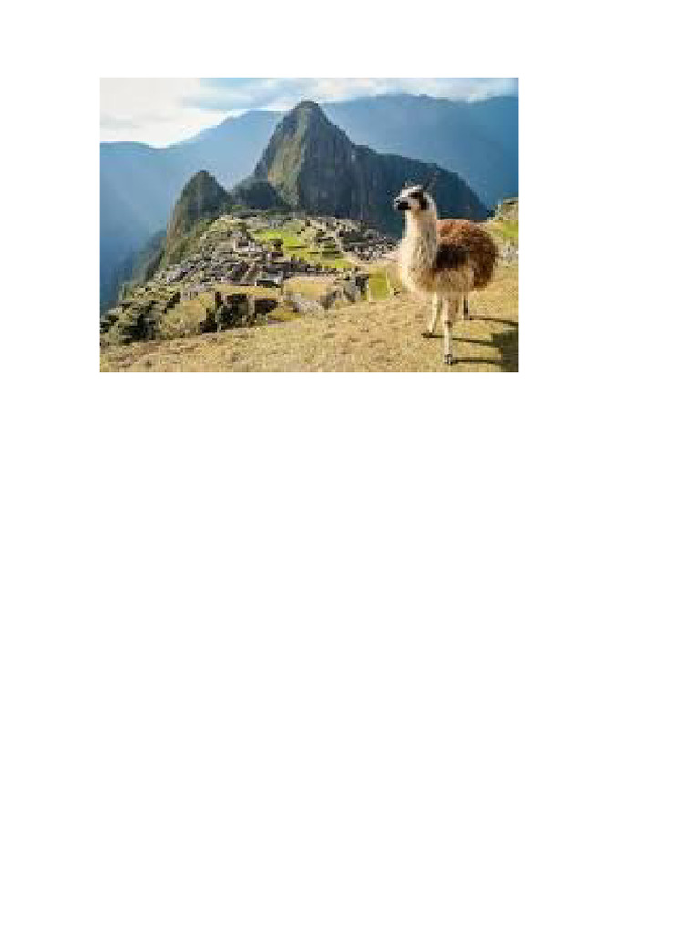 LLAMA | PDF