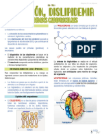 Degras Final Nutri