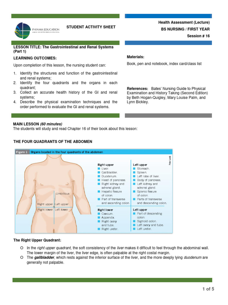Abdominal Organ Assessment Guide | PDF | Abdomen | Pain