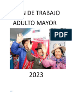 Plan de Trabajo Adulto Mayor