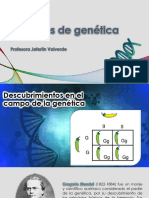 4 Cruces Genetica