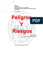 Tarea Peligros Y Riesgos 