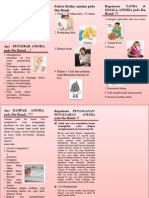 PDF Leaflet Anemia Pada Ibu Hamil - Compress