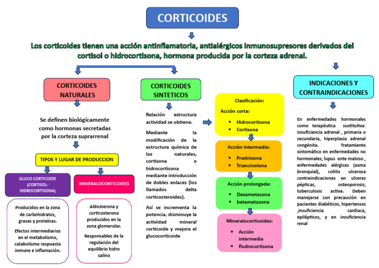 Corticoides | PDF | Corticosteroides | Glándula suprarrenal