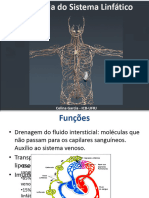 Anatomia Do Sistema Linfático