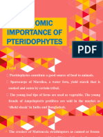 Economic Importance of Pteridophytes
