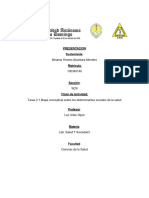 Tarea 2.1 Mapa Conceptual Sobre Los Determinantes Sociales de La Salud