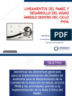 Lineamientos Del PAMEC