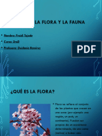 La Flora y La Fauna