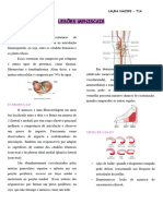 Lesões Meniscais