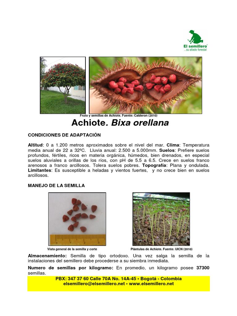 Achiote | PDF | Siembra | Riego
