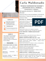 Técnica Superior en Higiene Y Seguridad en El Trabajo: Experiencia Laboral