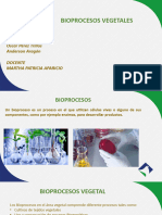 Bioproceso Vegetal