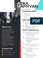 Professional CV Resume