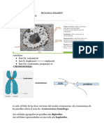 Biologia Examen