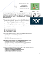 FT6 - Transporte Nas Plantas