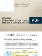 Citologia