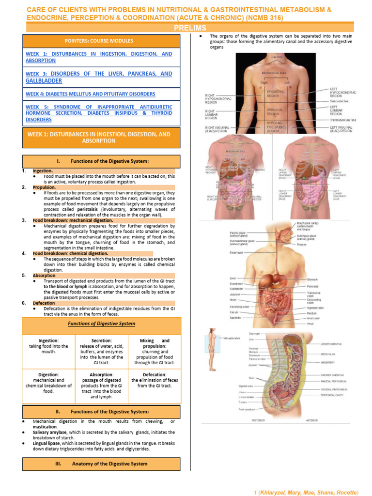 Nutritional & Gastrointestinal Care Guide | PDF | Stomach | Digestion