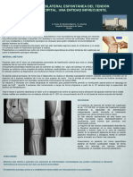 Ruptura de Tendon Suprapatelar