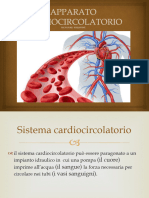 Apparato Cardiocircolatorio