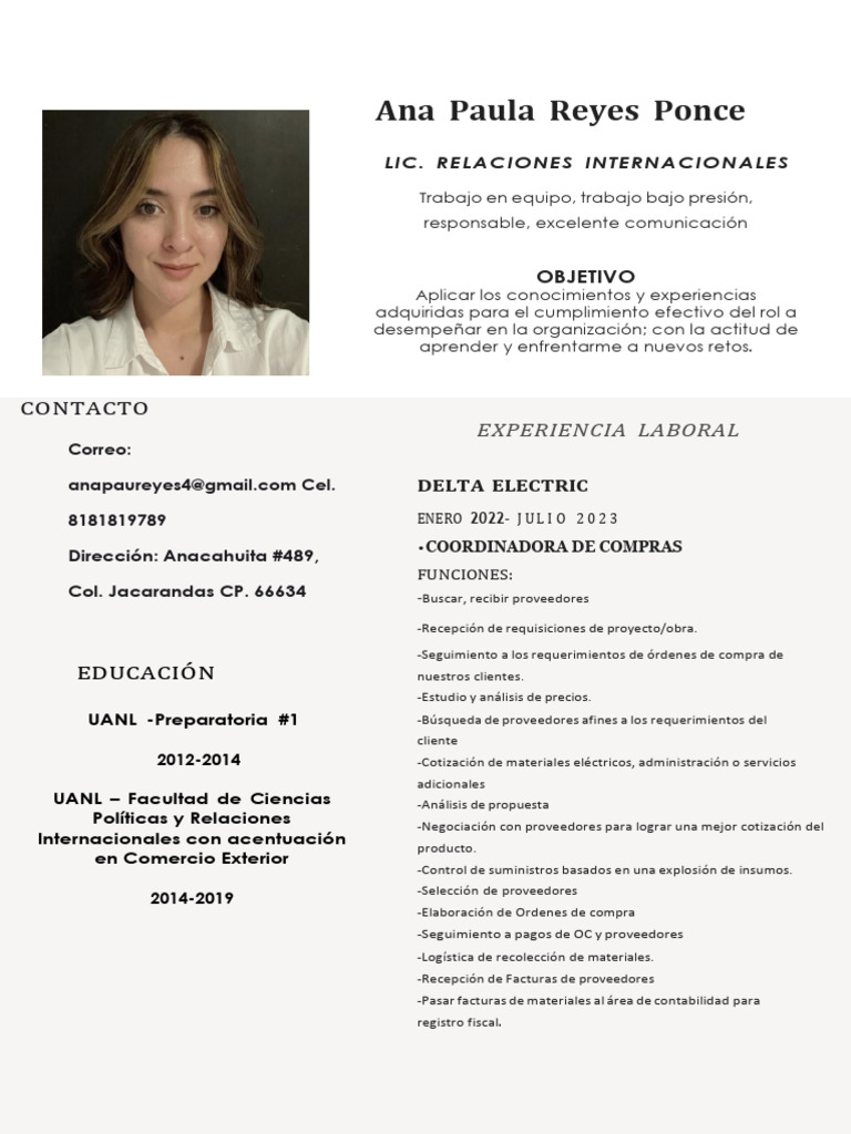 Perfil Profesional de Ana Paula Reyes | PDF | Business