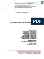 Proyecto de Servicio Comunitario Patios Agroecologicos en La Comunidad Chamarreta I