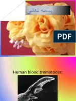 Human Blood Trematodes4
