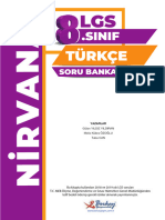 8 Nirvana Turkce DSK