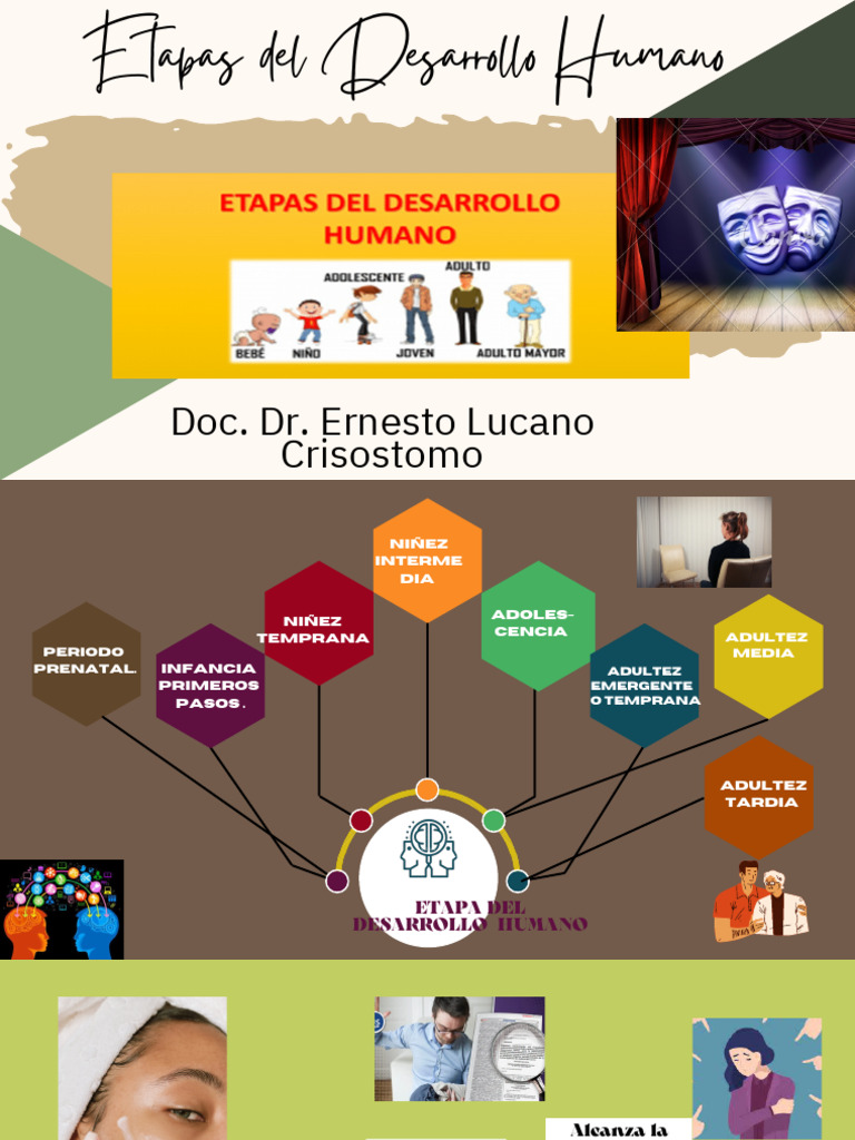Etapas del Desarrollo Humano | PDF | Adultos | Psicología Social