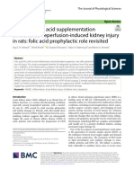 Impact of Folic Acid Supplementation On Ischemia Reperfusion-Induced Kidney Injury in Rats: Folic Acid Prophylactic Role Revisited