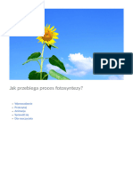 Jak Przebiega Proces Fotosyntezy