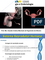 Aula 02 Histologia - Sistema Reprodutor Humano