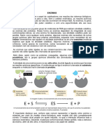 3 - Resumo Enzimas