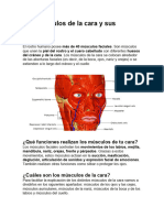 Los Músculos de La Cara y Sus Funciones