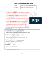 03 Electric Field Mapping - Report