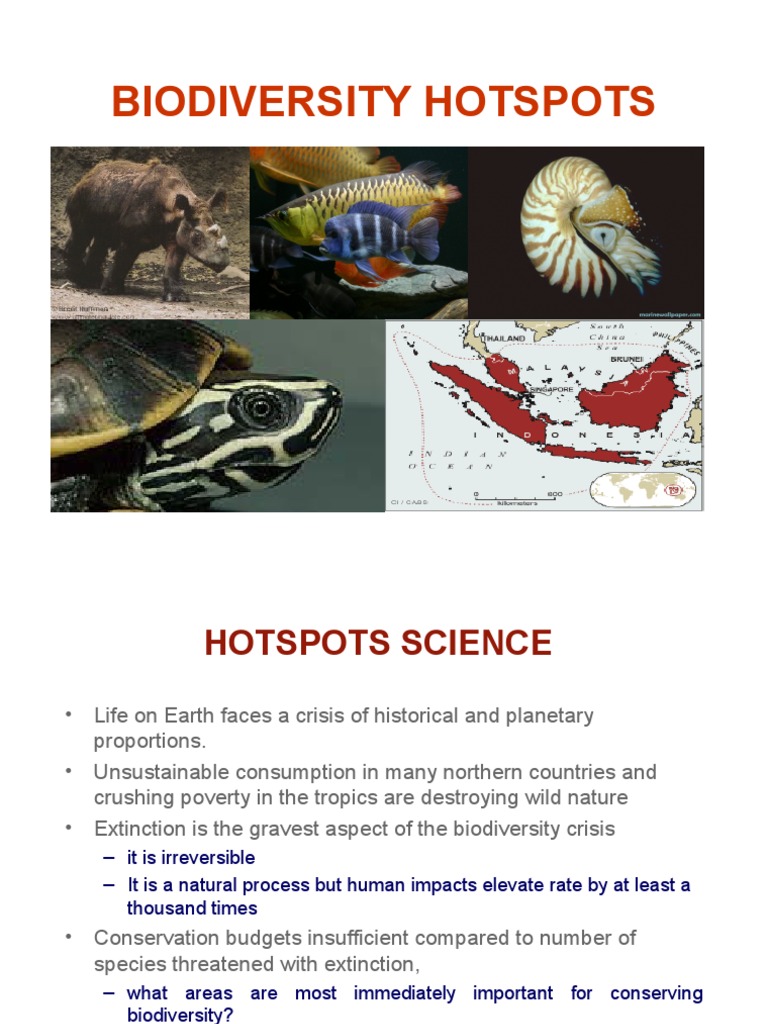 Sundaland Biodiversity and Threats | PDF | Biodiversity | Orangutan