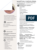 CV Curriculum Administración Gris Sobrio