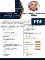 Curriculum Vitae Luis Benavides Mora