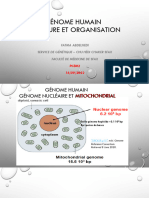 1-Diapo 1. ORGANISATION DU GÉNOME - PCEM2