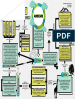 El Ambiente Como Sistema Dinamico