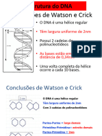 Aula 6 - Replicação Do DNA