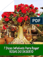 7dicas Infalíveis Rosa Do Deserto