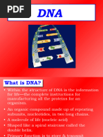 Dna Rna 11