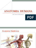 Anatomia Humana - Aula 02