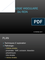 Pathologie Vasculaire Du Rein AF 2011FILEminimizer