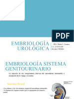 Embriología Urológica