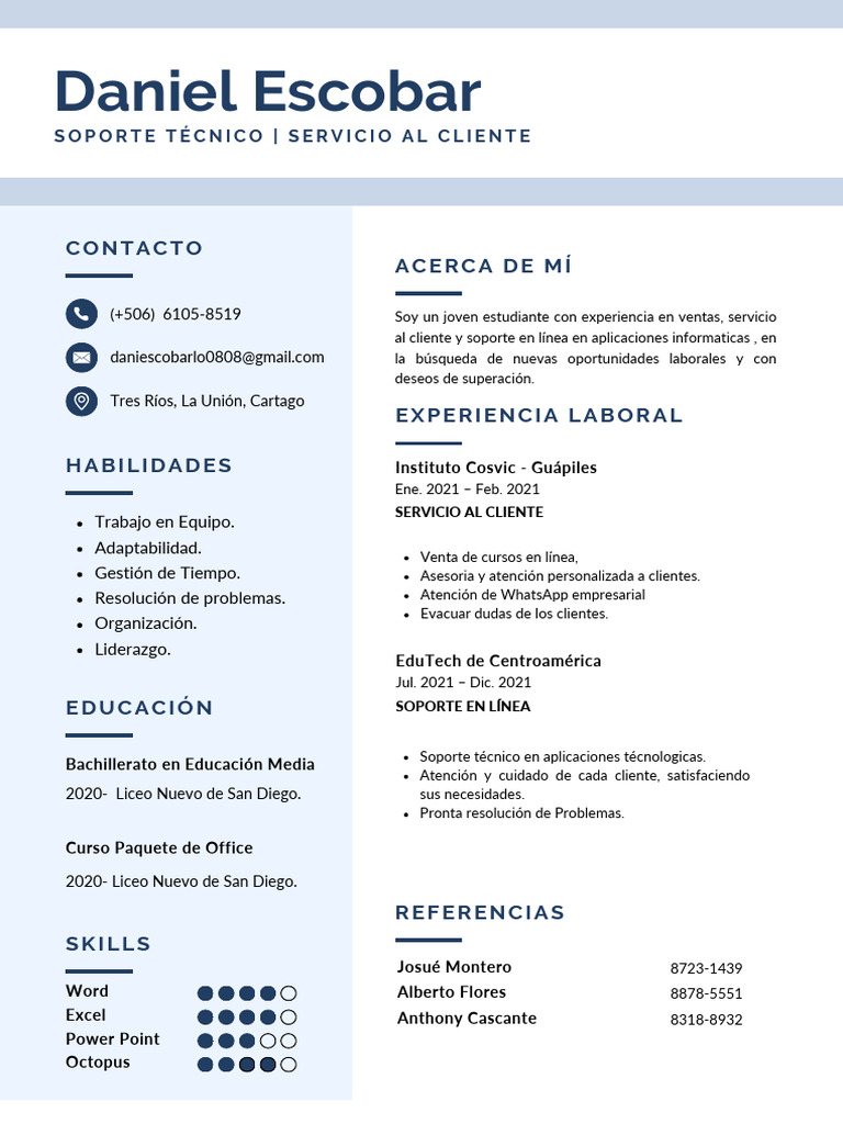 Perfil de Soporte Técnico y Ventas | PDF | Negocios
