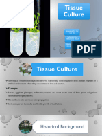 Tissue Culture and Its Applications